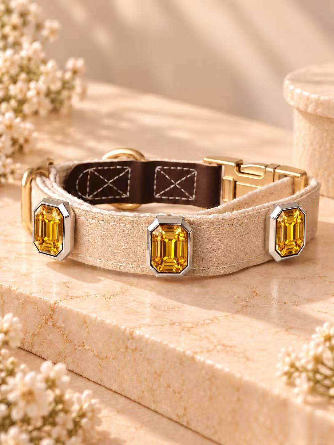 Golden GemSwitch Buckle Collar